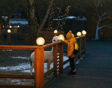 Весенние каникулы с альпака в парке «Сказка». 22-30 марта 2025.