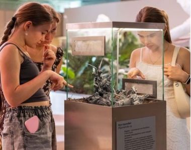 Самая необычная выставка «Морфогенез. Третья природа» на ВДНХ. 6+