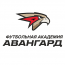 Футбольная академия «Авангард» Отделение «Южнобутовская»