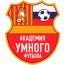Академия Умного Футбола "Куркино"