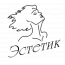 Детский развивающий центр «Эстетик»