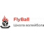 Школа волейбола "FLYBALL" (Электролитный пр.)
