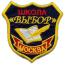 НОУ Школа "Выбор"