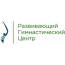 Развивающий Гимнастический центр для детей и взрослых