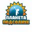 Частная начальная школа "Планета Подсолнух"